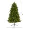 5.5ft. Pre-Lit Washington Fir Artificial Christmas Tree, Clear LED Lights